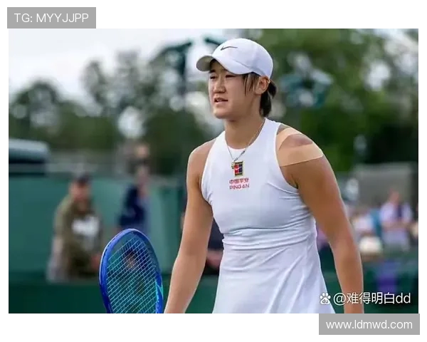 南京网球队的崛起与荣耀：揭秘网球背后的拼搏与激情