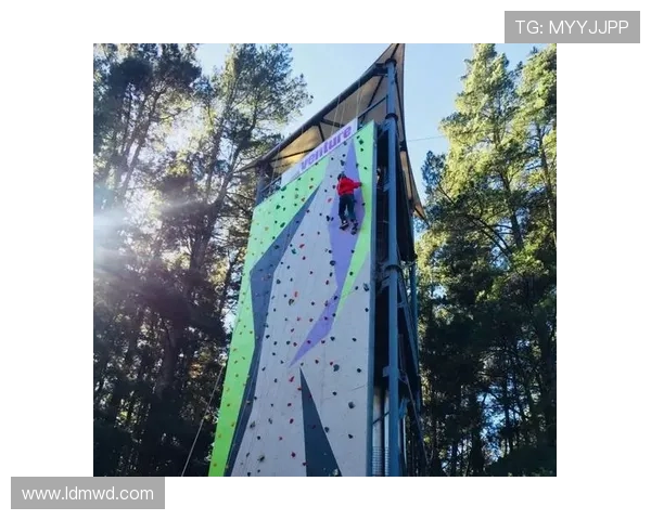 张秀英亲述攀岩技巧与心路历程分享，助你征服高峰