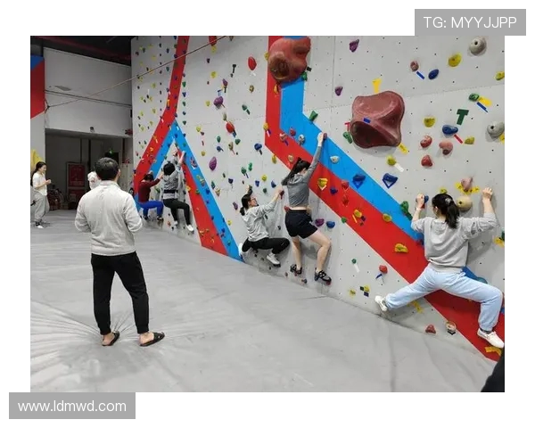 成都攀岩队灵活性分析及其对训练效果的影响研究