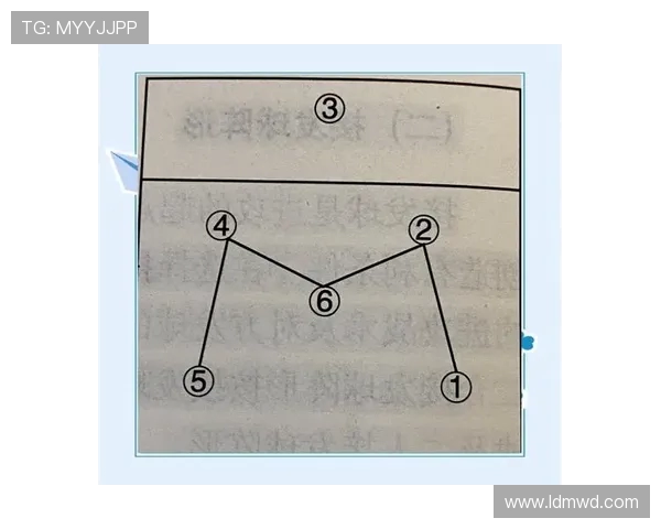排球盛宴：深入解析北京排球队的默契配合与战术运用