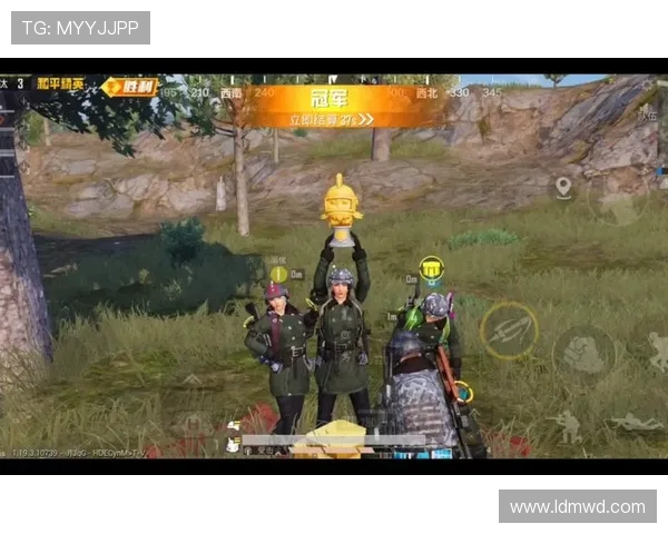 热议和平精英：WE战队个人能力提升与团队协作的完美结合