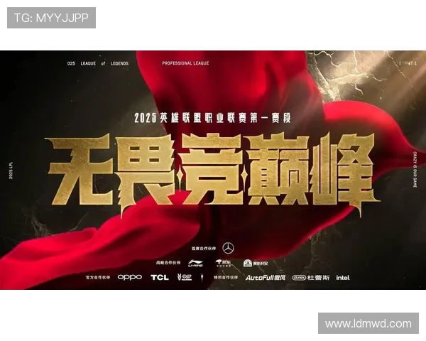 英雄联盟耐力排行榜揭晓RNG战队荣登第三名引发热议