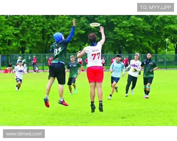 西安飞盘队节奏之争引发热议球迷观点各异探讨飞盘文化发展
